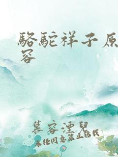 骆驼祥子原文内容