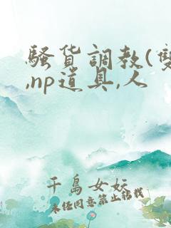 骚货调教(双性,np道具,人
