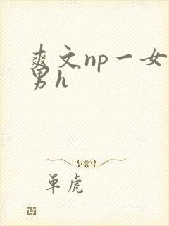 爽文np一女多男h