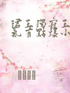 珺王独宠王妃脾气有点爆小说