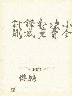 针锋对决小说未删减免费全文番外