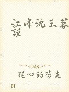 江峰沈玉蓉的小说