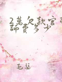 2万欠款官司律师费多少