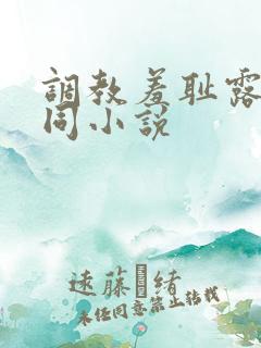 调教羞耻露出男同小说