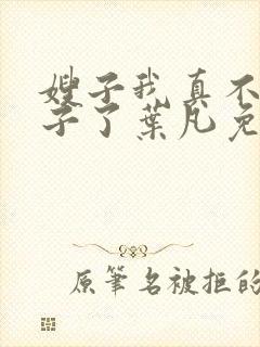 嫂子我真不是傻子了叶凡免费全本大结局