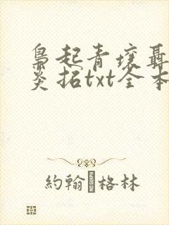 枭起青壤聂九罗炎拓txt全本下载