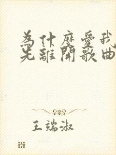 为什么爱我的人先离开歌曲