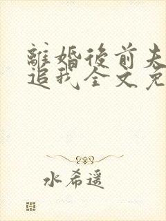 离婚后前夫总想追我全文免费阅读