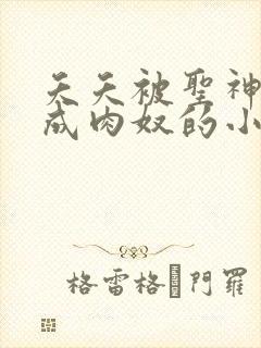 夭夭被圣神调教成肉奴的小说