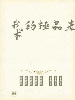 我的极品老婆全本