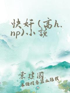快奸 (高h.np)小说