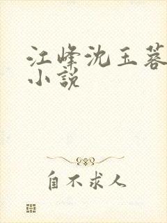 江峰沈玉蓉全文小说