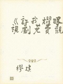 《许我耀眼》电视剧免费观看24集