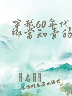 穿越60年代下乡当知青的小说