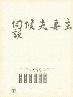 伺候夫妻主的小说