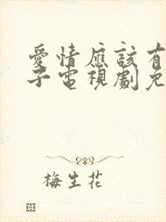 爱情应该有的样子电视剧免费观看完整版