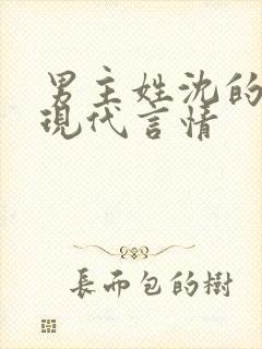 男主姓沈的小说现代言情