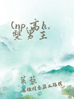 (np,高h,双男主