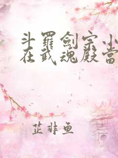 斗罗剑宗小师妹在武魂殿当圣女