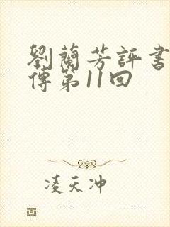 刘兰芳评书岳飞传第11回