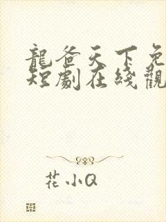 龙爸天下免费的短剧在线观看完整版