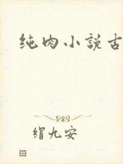 纯肉小说古言
