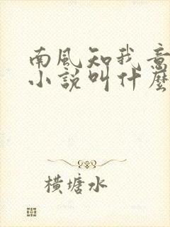 南风知我意原著小说叫什么