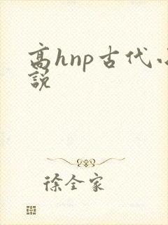 高hnp古代小说