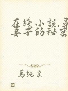 在线小说,寻找妻子的秘密
