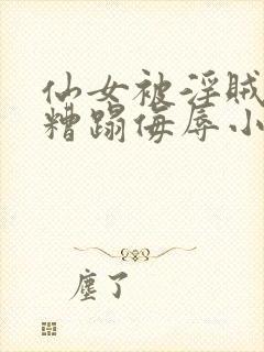 仙女被淫贼强行糟蹋侮辱小说