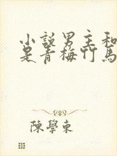 小说男主和女主是青梅竹马