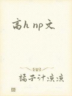 高h np文