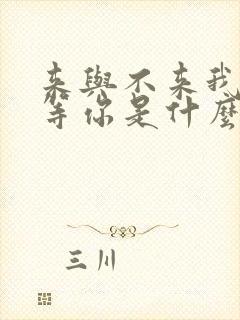 来与不来我都在等你是什么歌