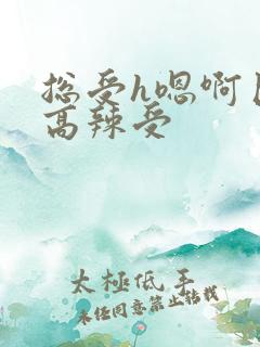 总受h嗯啊巨肉高辣受