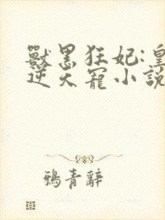 兽黑狂妃:皇叔逆天宠小说下载txt