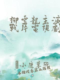 柳云龙主演的谍战片电视剧大全集暗算