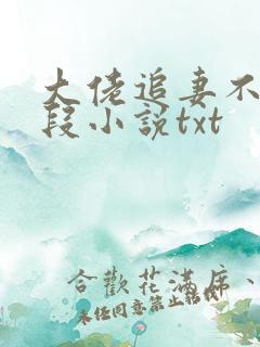 大佬追妻不择手段小说txt
