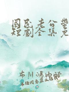 国民老公带回家短剧全集免费