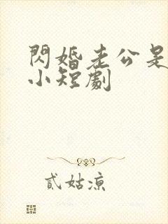 闪婚老公是豪门小短剧