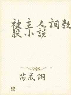 被主人调教打屁股小说