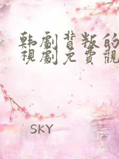 韩剧背叛的爱电视剧免费观看全集