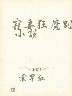 宠妻狂魔别太坏 小说