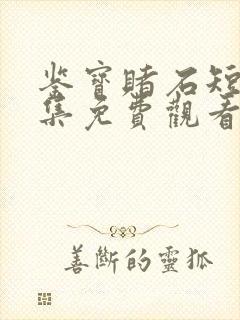 鉴宝赌石短剧全集免费观看