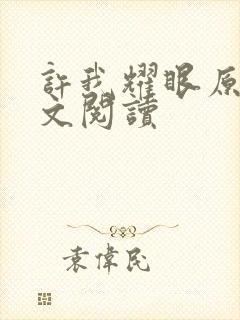 许我耀眼原著全文阅读