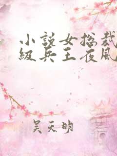 小说女总裁的超级兵王夜风武