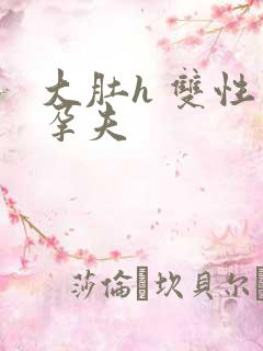 大肚h 双性 孕夫