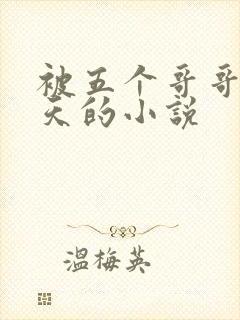 被五个哥哥宠上天的小说