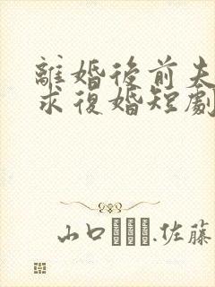 离婚后前夫日日求复婚短剧