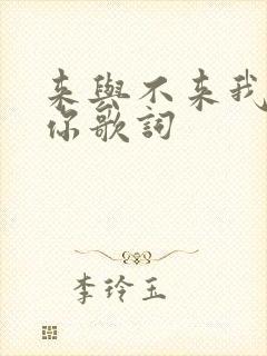 来与不来我都等你歌词