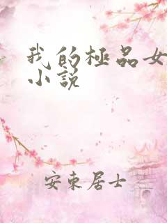 我的极品女上司小说